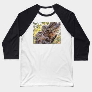 Four Great Horned Owlets at the Nest Baseball T-Shirt